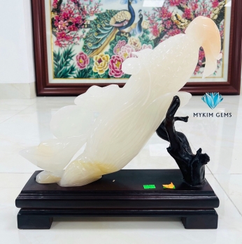 Bắp Ngô Ngọc Onyx